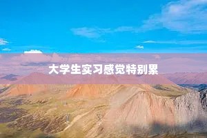 大学生实习感觉特别累