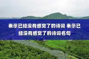 表示已经没有感觉了的诗词 表示已经没有感觉了的诗词名句