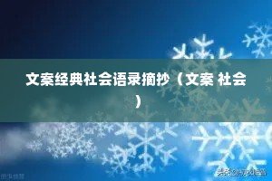 文案经典社会语录摘抄（文案 社会）