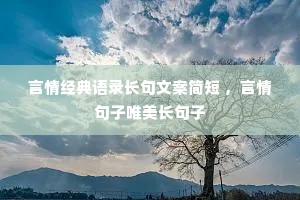 言情经典语录长句文案简短 ，言情句子唯美长句子