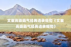 文案高级霸气经典语录短句（文案高级霸气经典语录短句）