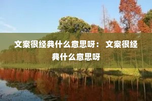 文案很经典什么意思呀： 文案很经典什么意思呀