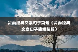 贤妻经典文案句子简短（贤妻经典文案句子简短精辟）