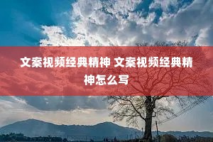 文案视频经典精神 文案视频经典精神怎么写